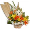 Cools Heart - Click here to View more details about this Product